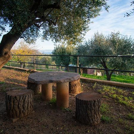 Villetta Fenosa Marina di Camerota Zewnętrze zdjęcie